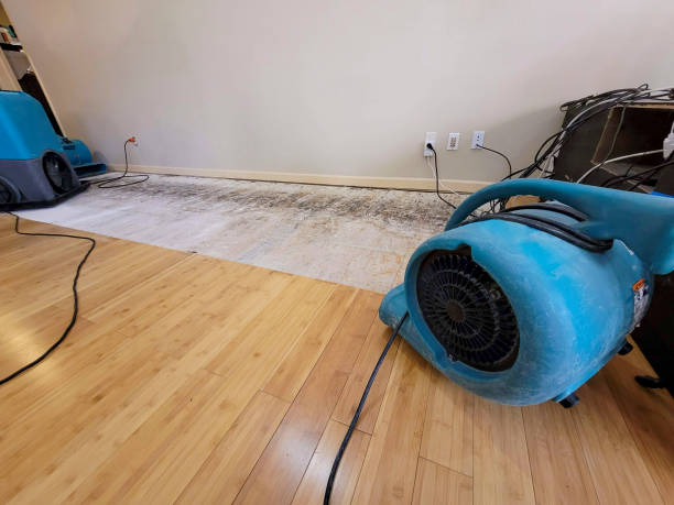 Professional Basement Flood Cleanup technician working in Dover, AR